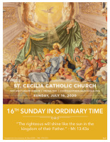 July 19, 2020: 16th Sunday of OT