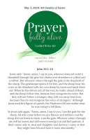 4th Sunday of Easter Lectio Guide