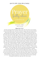 Divine Mercy Sunday Lectio Guide